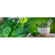 Navgrah Tailakya Navgrah Tailakya